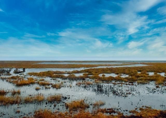 Reimagining wetland restoration in Minnesota - US Fish and Wildlife Service