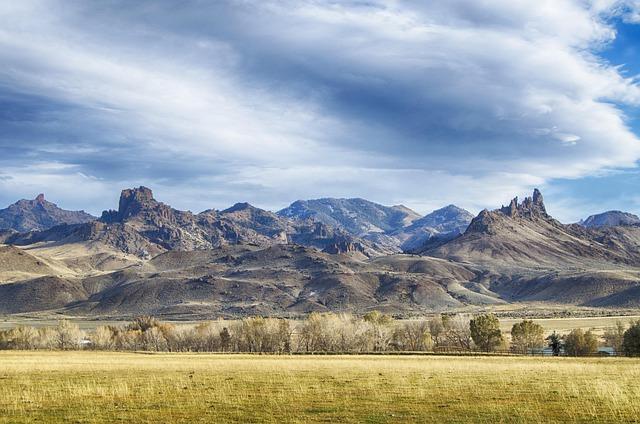 Future Implications for Wyoming's Ecosystem and Wildlife Policies