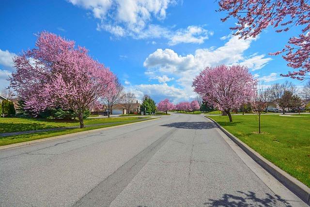 Environmental Consequences: The Aftermath of Expanding Suburban Footprints