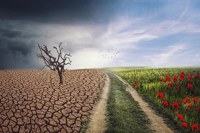 Potential Consequences for Federal Climate Initiatives