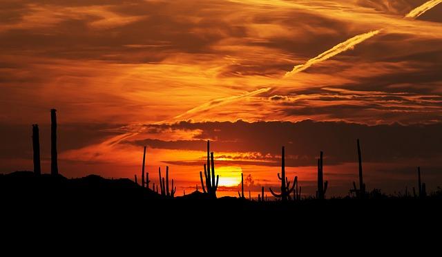 Arizona schools⁣ chief agrees with Trump’s move⁤ to close ⁣US Department of Education​ - Arizona's ⁢Family