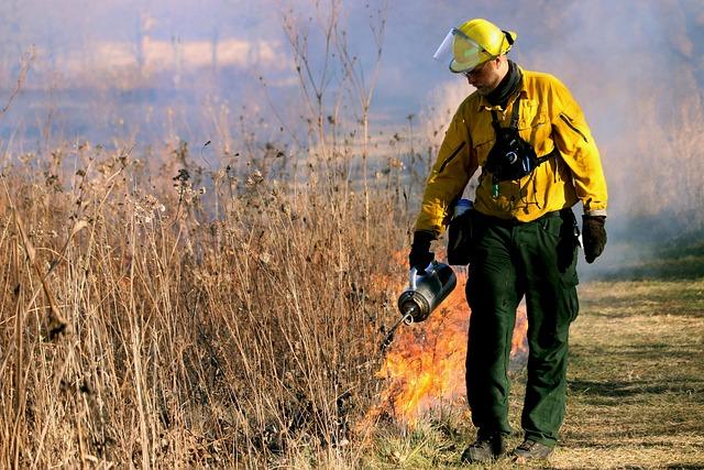 Impact of Wildfires on Nevada's Ecosystem and Wildlife