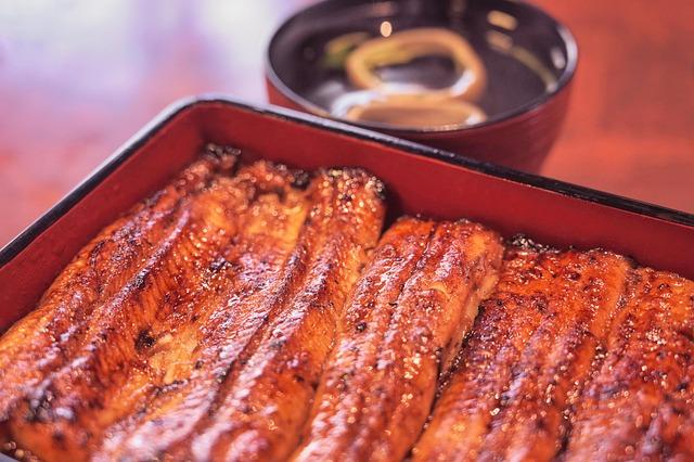 Exploring the Nutritional Benefits of American Eel in the Modern Diet