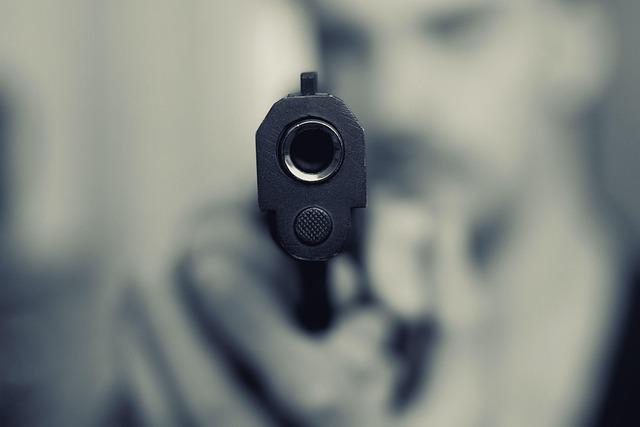 Multiple Gunshot Victims Reported at Young Park, Raising concerns Over Gun Violence