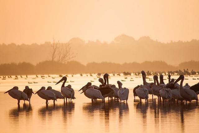 Exploring the Economic ‍Impact of Delta's New Routes ⁢on ⁤Saint ‌Lucia's Tourism