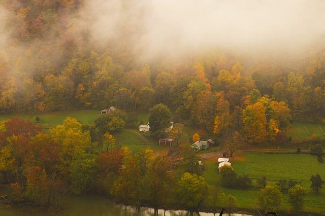 Impact of West virginia's Senate Race on National Climate Policy