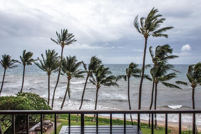 Future mitigation Strategies for Tropical Storm Vulnerability