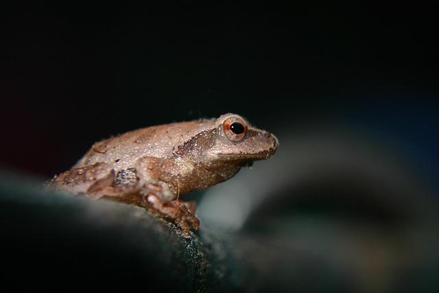 Scientific Insights: Understanding the Biology and Behavior of the Species
