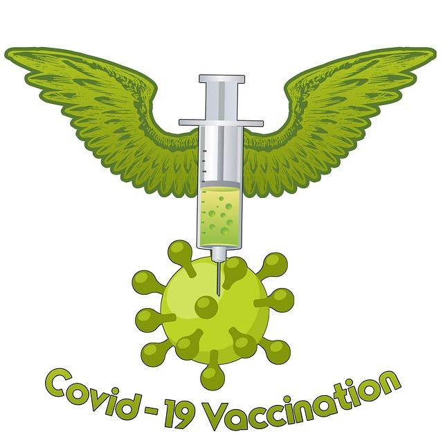 Future Vaccination Campaigns: Goals and Recommendations for Success