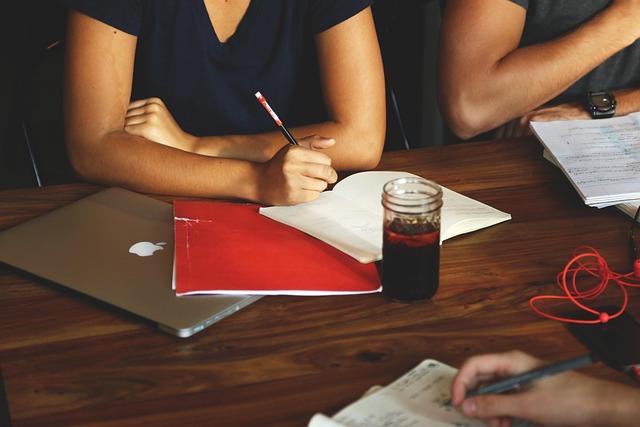 Proposed Strategies for Enhancing Collaboration and Capacity Building
