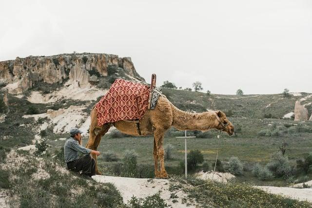 Cultural Experiences: Art, History, and Festivals to Discover