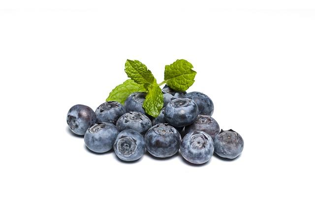 Strategic Recommendations for Sustainable Growth in Blueberry Exports