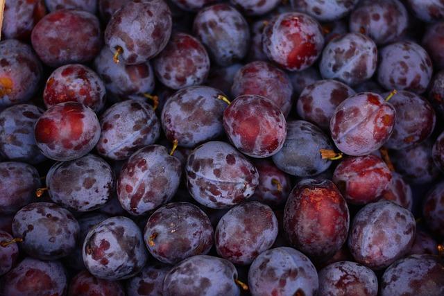 Market Opportunities for Increased Sales and Export of Local Produce