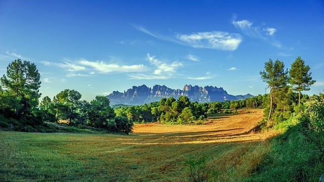 Exploring the Unique Flora and Fauna of Montserrat
