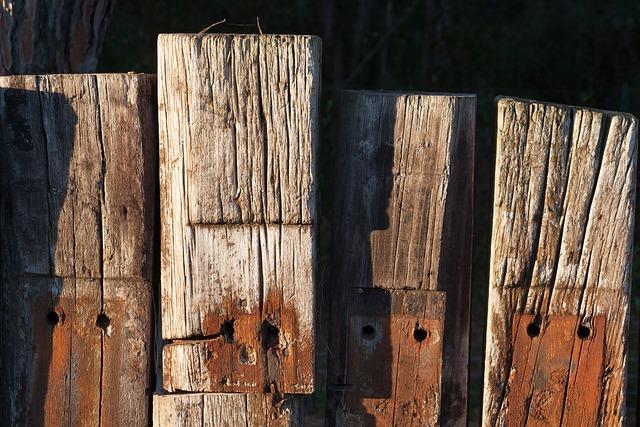 Analyzing⁢ the‌ Legal‍ Framework ‌Behind Border Access⁢ Limitations