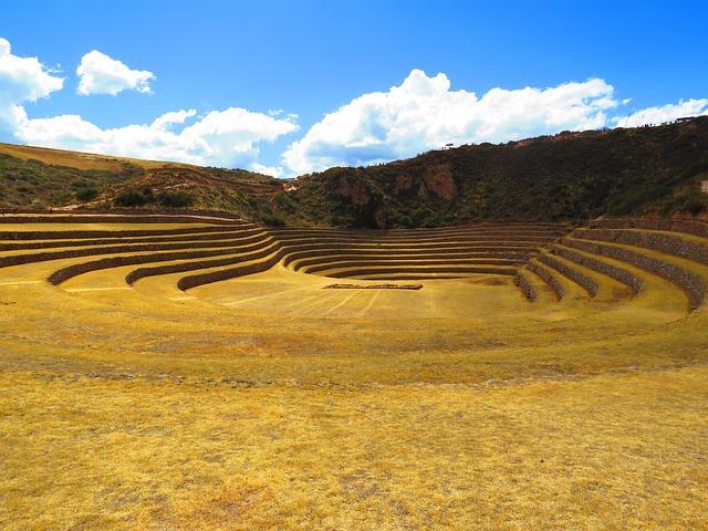 Recommendations for Future Success and Expansion in Peru