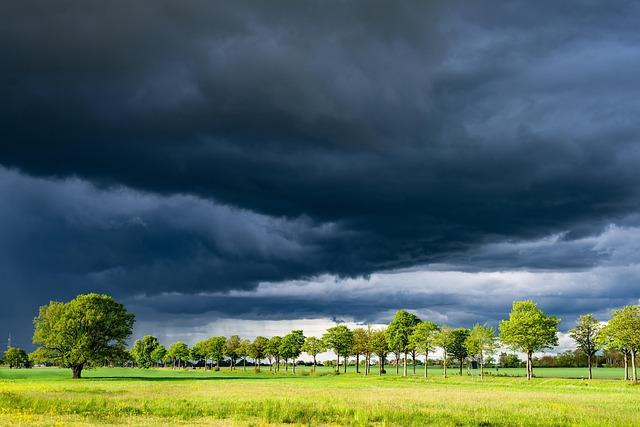 challenges Faced by Farmers and Strategies for Overcoming Obstacles