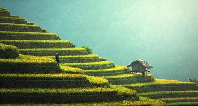 Future Outlook: Strategic Recommendations for Sustainable Growth