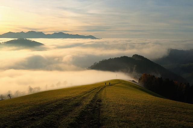 Recreational Opportunities: What to Expect on the New Trail