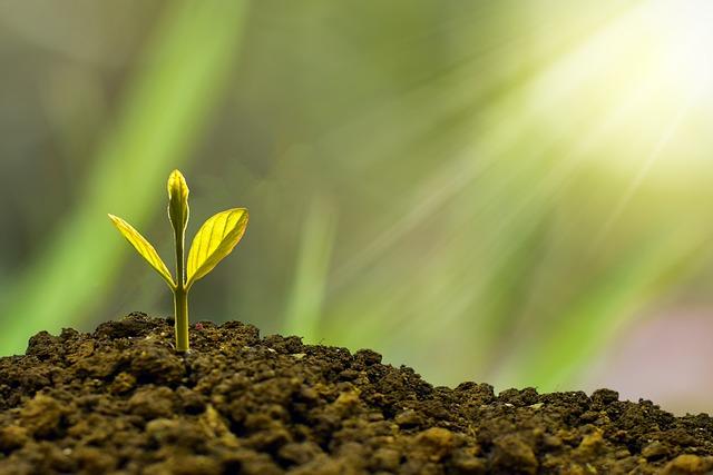 Sustainability Initiatives and Community Engagement in Peru