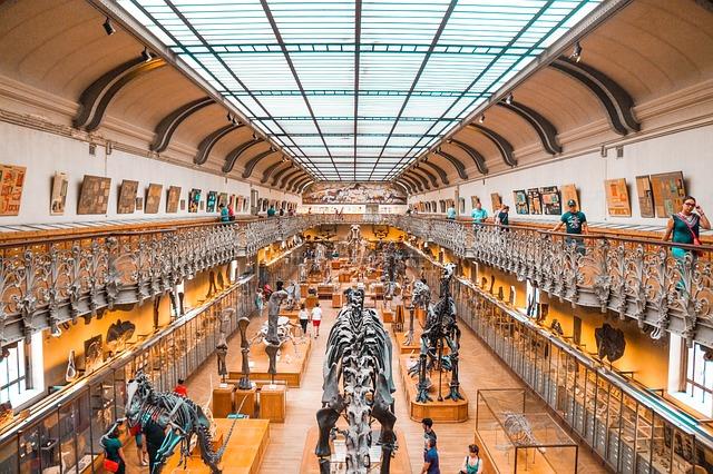 Cultural Evolution and Its Impact on National Identity