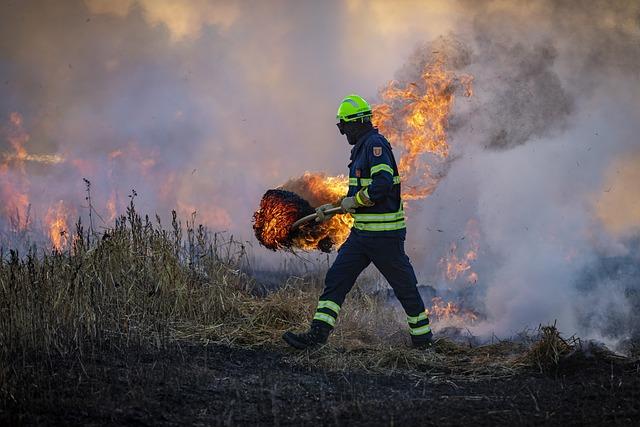 Overview of Current Wildfire Incidents Across South America