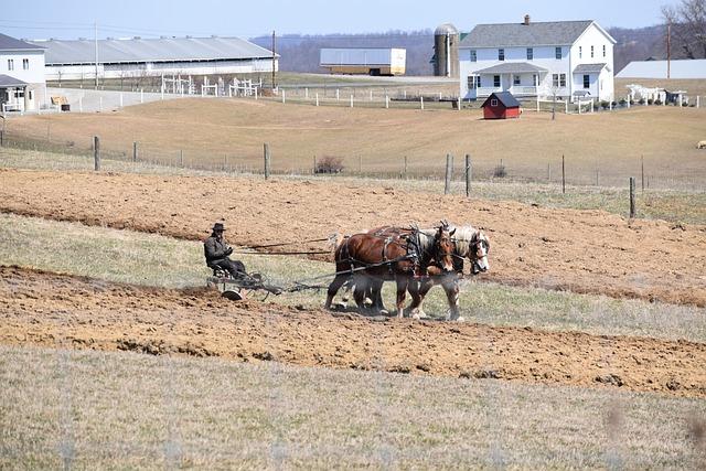 Advocacy Strategies for Ohio Farmers to Influence Policy