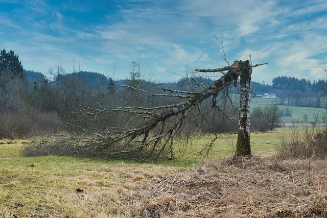 Damaging Storms Intensify Recovery Challenges Across tornado-Stricken states