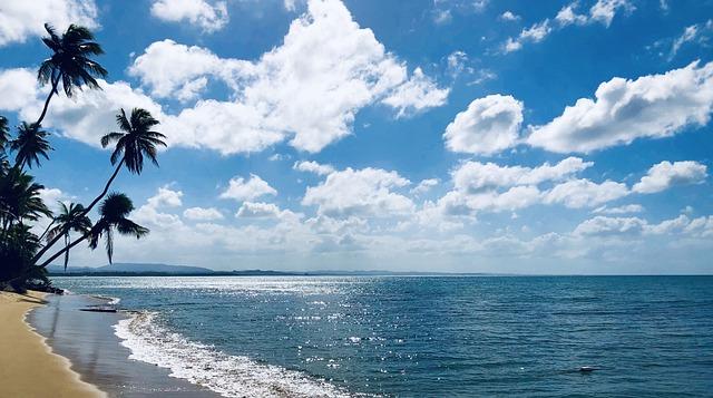 Eyes on the Future: Potential for Growth in the caribbean Travel retail Sector