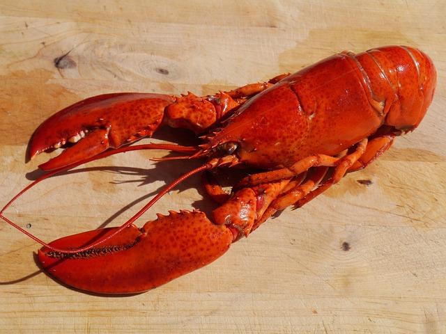 Market Trends: The Rising Demand for Sustainable Seafood Options