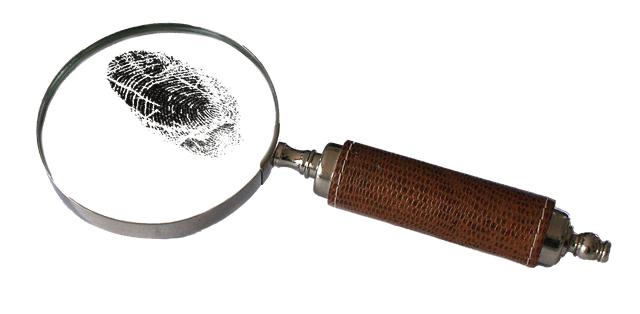 Recommendations for Future Cases: Lessons Learned from the Holloway Investigation