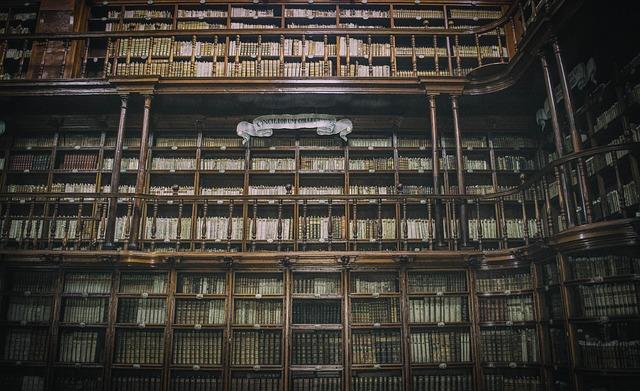 Public Library as a Cross-Border ⁣Cultural hub: The‍ Need⁣ for Access
