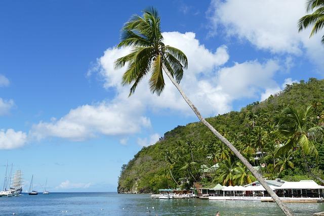 Community Response: Reactions from St Lucia and Global Calls for Reform