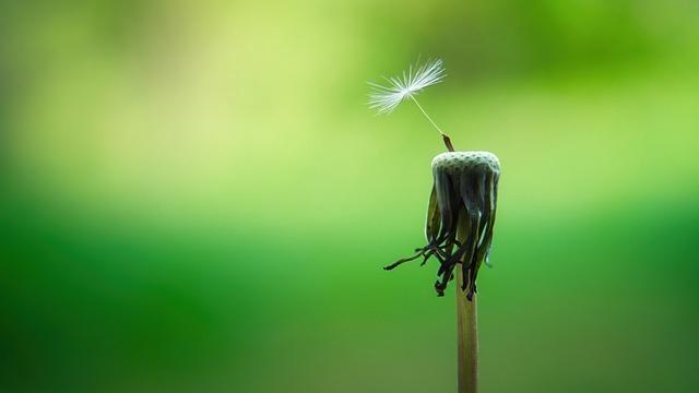 Lessons Learned from Hope's Unfulfilled Aspirations
