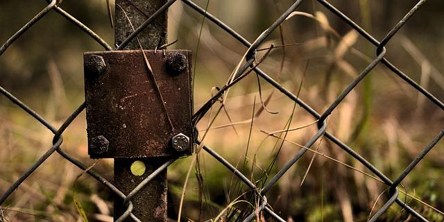 Recommendations for‍ Canadians traveling to⁤ the U.S.: Navigating Border Security Risks
