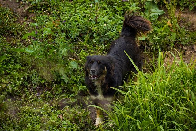The Longevity⁤ of⁣ Claudio Bravo: A Testament to⁤ Professionalism