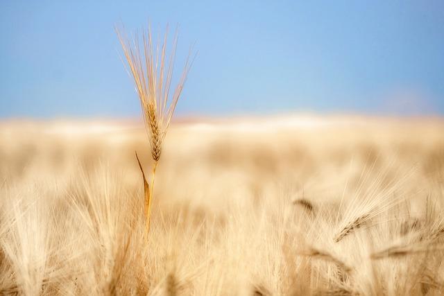 Addressing the Economic Implications of Policy Decisions