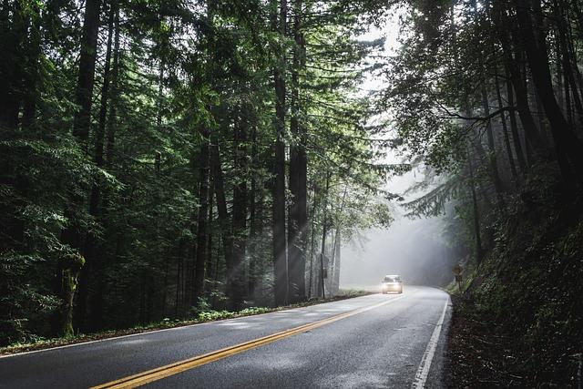 How to do the great American road ​trip: Nevada and Southern​ California -‌ The Self-reliant