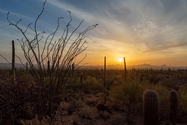 Dining Destinations:‍ Where‌ to Experience Tucson's Food Scene