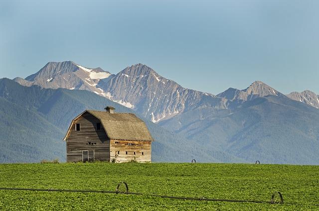 Demographic Shifts and Their Impact on Voter Sentiment in Montana