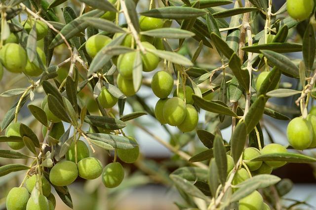 The Core Principle of Abundance: Rethinking Resource Management