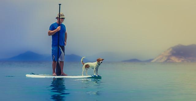 Challenges and Opportunities ‌in Implementing⁣ the New Register ‍of ⁢company Owners