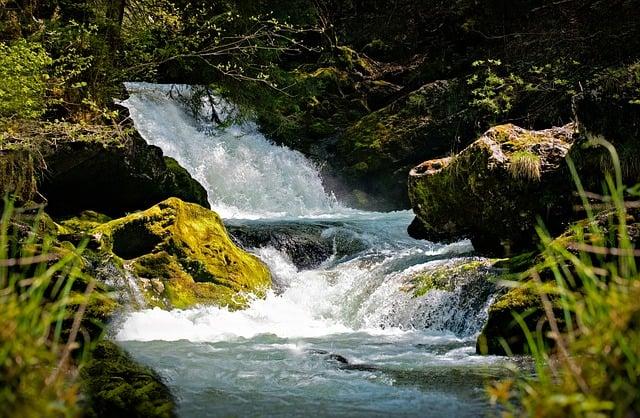 Understanding the Source of the Island's Revenue Stream