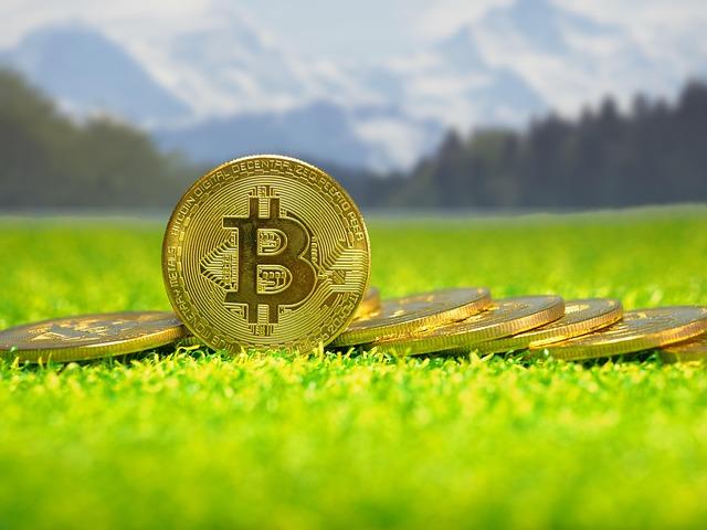 Exploring the Implications of Bitcoin Reserve Bills on State Economies