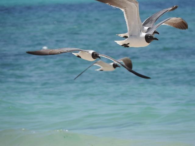 Understanding the US Government's Travel Warning for the Bahamas