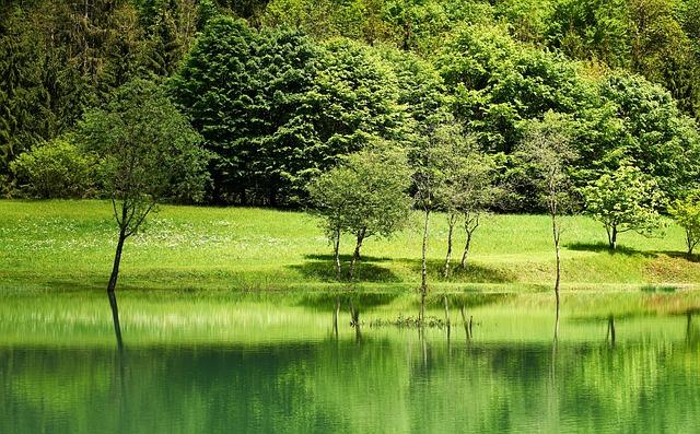 Environmental​ Considerations: Balancing Energy​ Production with ​Ecological Responsibility
