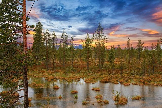 Innovative approaches to Wetland Restoration in Minnesota