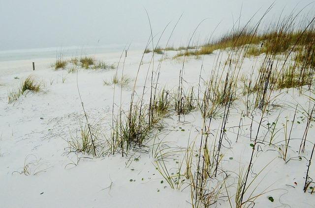 Understanding the Gulf of America Name Change and Its Historical Context