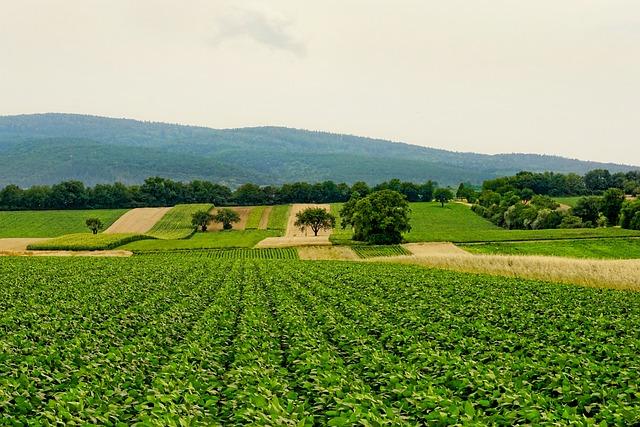 Understanding the Role of Agriculture in Refugee Integration in New Hampshire