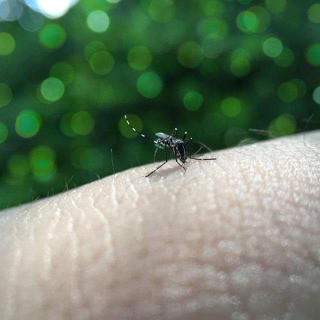 Future Outlook and Recommendations ⁣for Dengue Control in Europe
